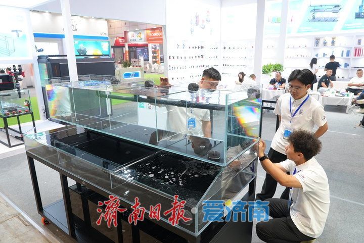 精彩纷呈！2025年第十二届中国（山东）国际宠物水族用品展开幕