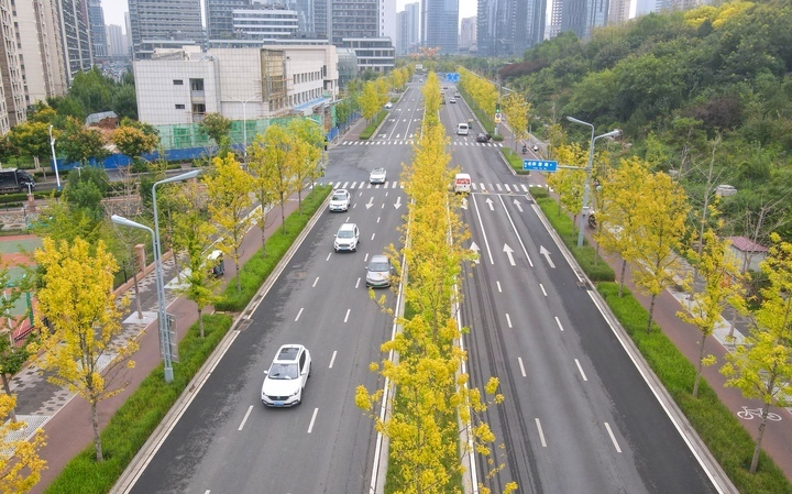 扮靓济南CBD，秋日来临最美“叶”色上线