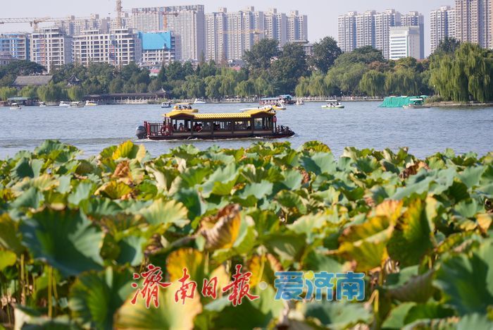 画舫荡漾赏湖光 假期明湖秋景引客来
