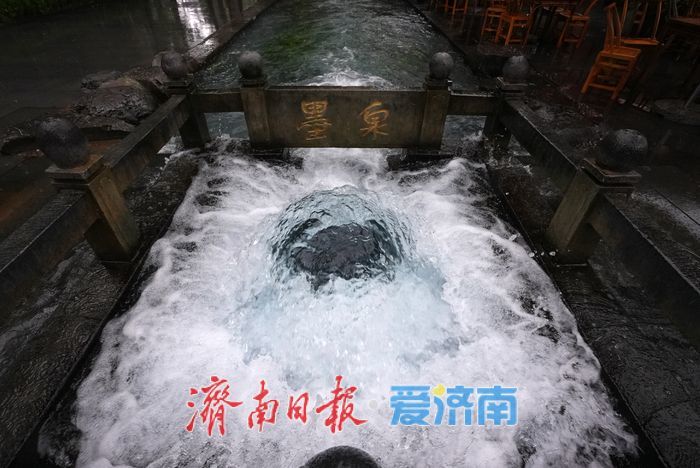 一年四季 泉在济南丨喷“嗨”了！墨泉雨中喷涌如沸 再现“一泉成河”壮丽奇观