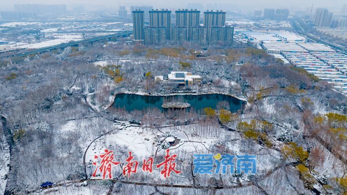 雪落泉城！济南森林公园银装素裹美景如画