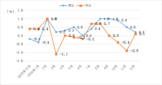 济南：2024年12月份居民消费价格指数同比上涨0.2%