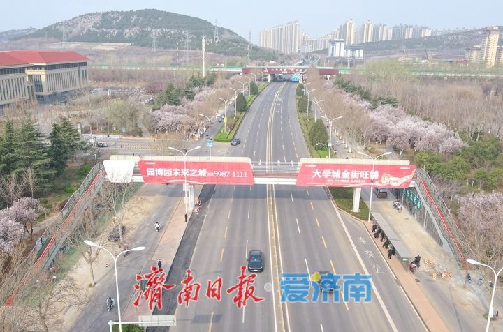 长清首座人行过街天桥投用