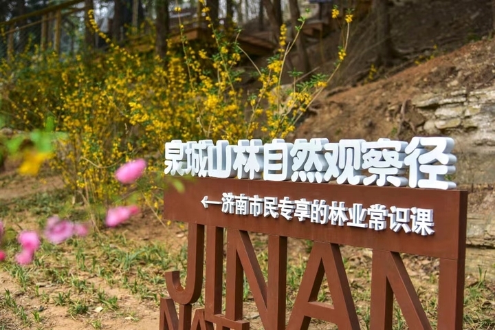 第三届山东省森林文化周启动仪式在佛慧山举行