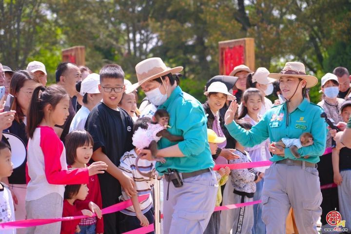马戏嘉年华燃爆全场，济南野生动物世界首日客流高峰