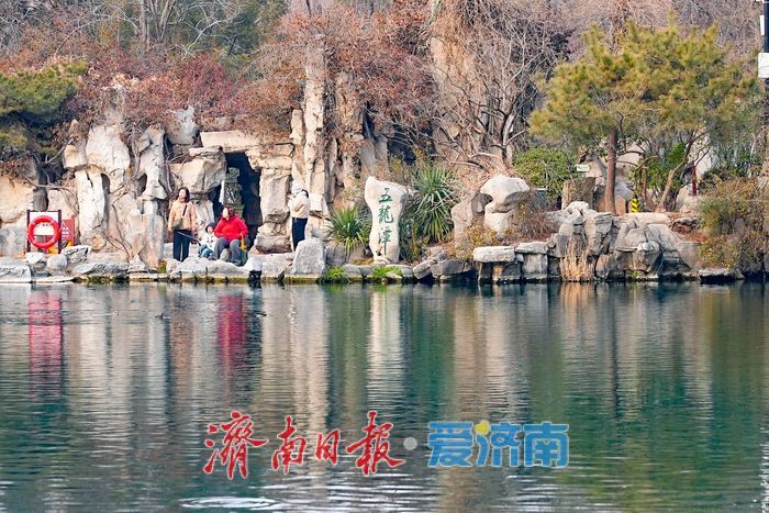 一年四季 泉在济南丨立春至，泉城迎春花初绽报春