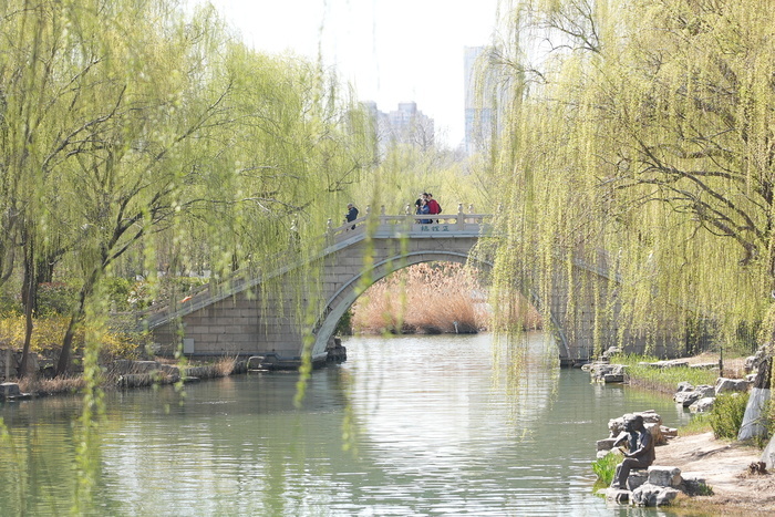 春光明媚 大明湖畔桃红柳绿 赏花正当时