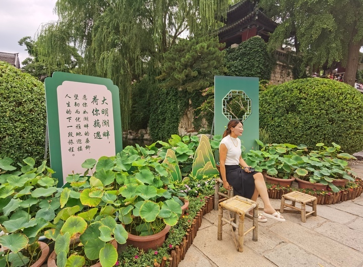 荷花小景扮靓夏日明湖