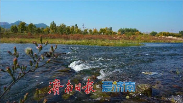 入选省级美丽河湖典型案例！看济南玉符河如何从“城郊疮疤”蝶变为“城市客厅”