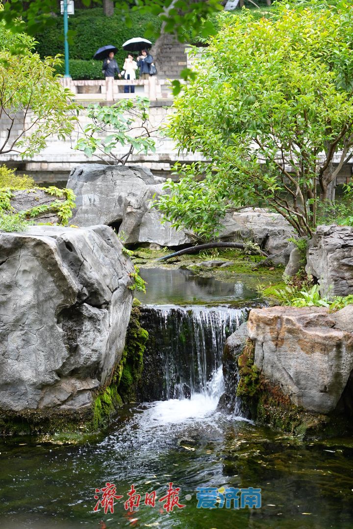 夏雨润泉城 画意护城河