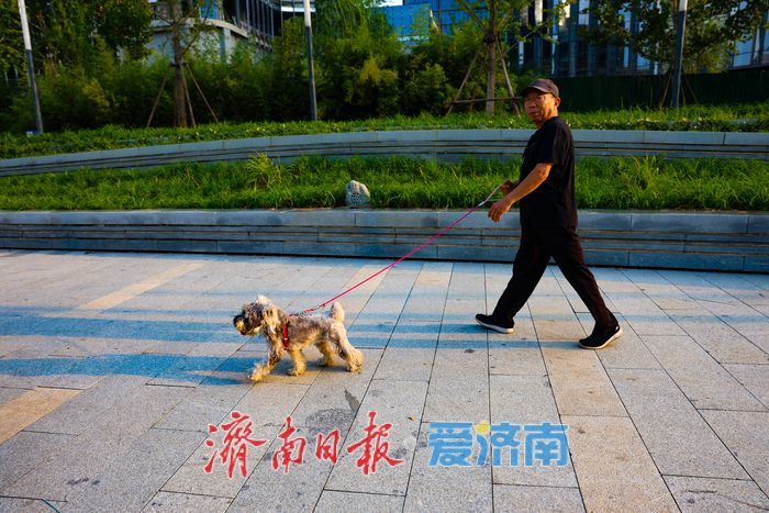 初秋黄昏 绘就绸带公园诗意画卷