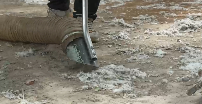 城市因园林更美好 生活因园林更幸福——2025年济南市园林和林业绿化局高质量成果展