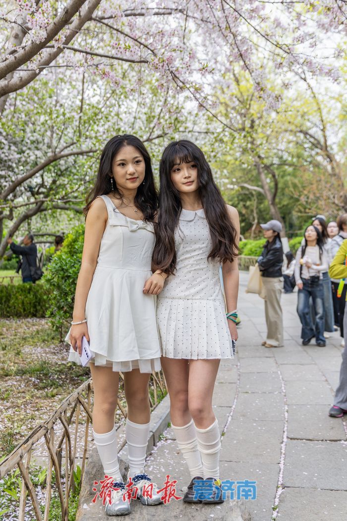 一年四季 泉在济南丨樱花海棠相竞艳，泉城春色醉游人