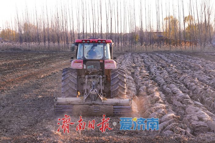 济南吴家堡街道明里村：冬闲人不闲 农田备耕忙
