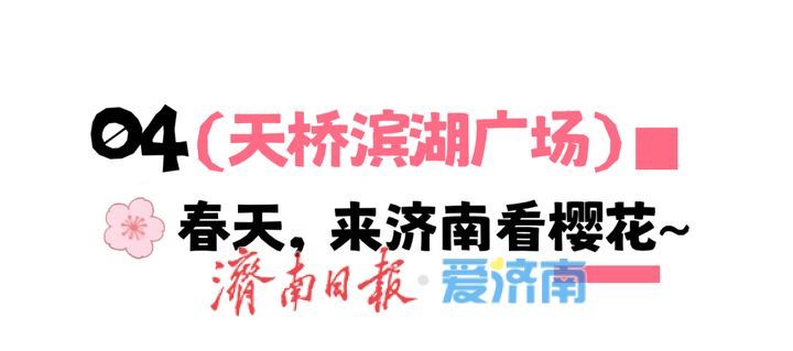 接下来，济南的人设是“樱花主理人”