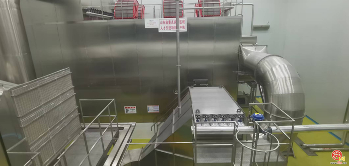 从餐桌到药房：枣庄健袖让鸡蛋长出 “医药翅膀”