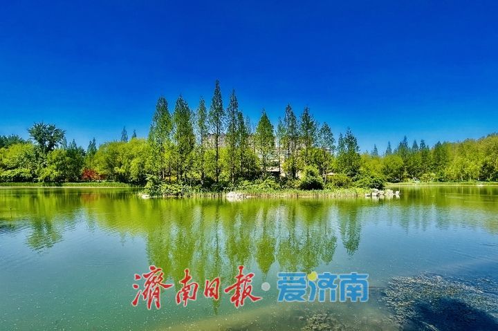 济南森林公园春日如画 市民踏青享“森呼吸”