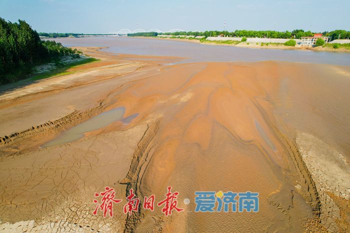 滩涂生树影 大河刻秋痕