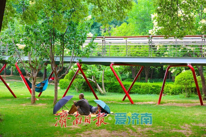 夏日寻凉正当时 树荫露营解锁都市微度假新方式