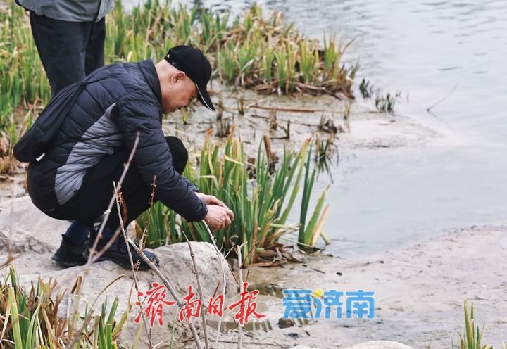 一年四季 泉在济南丨白泉喷涌景如画 公园焕新引客来