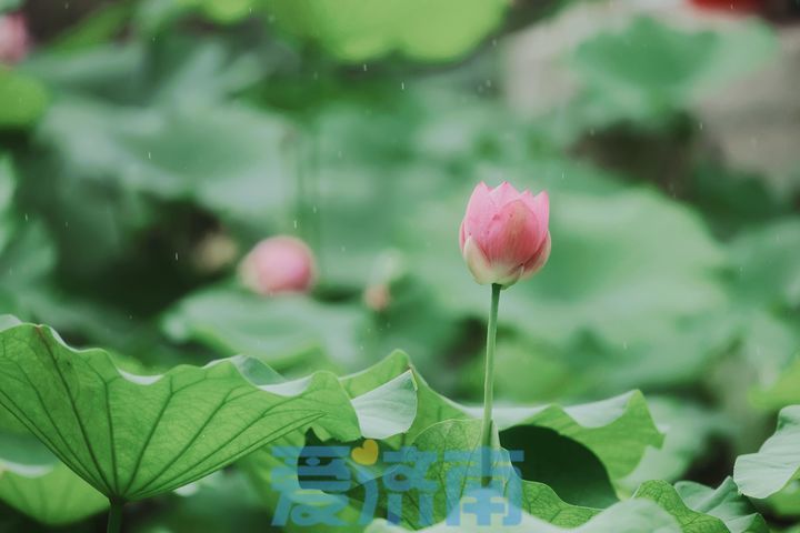 6649aebd8f9616b77f096552784414b7