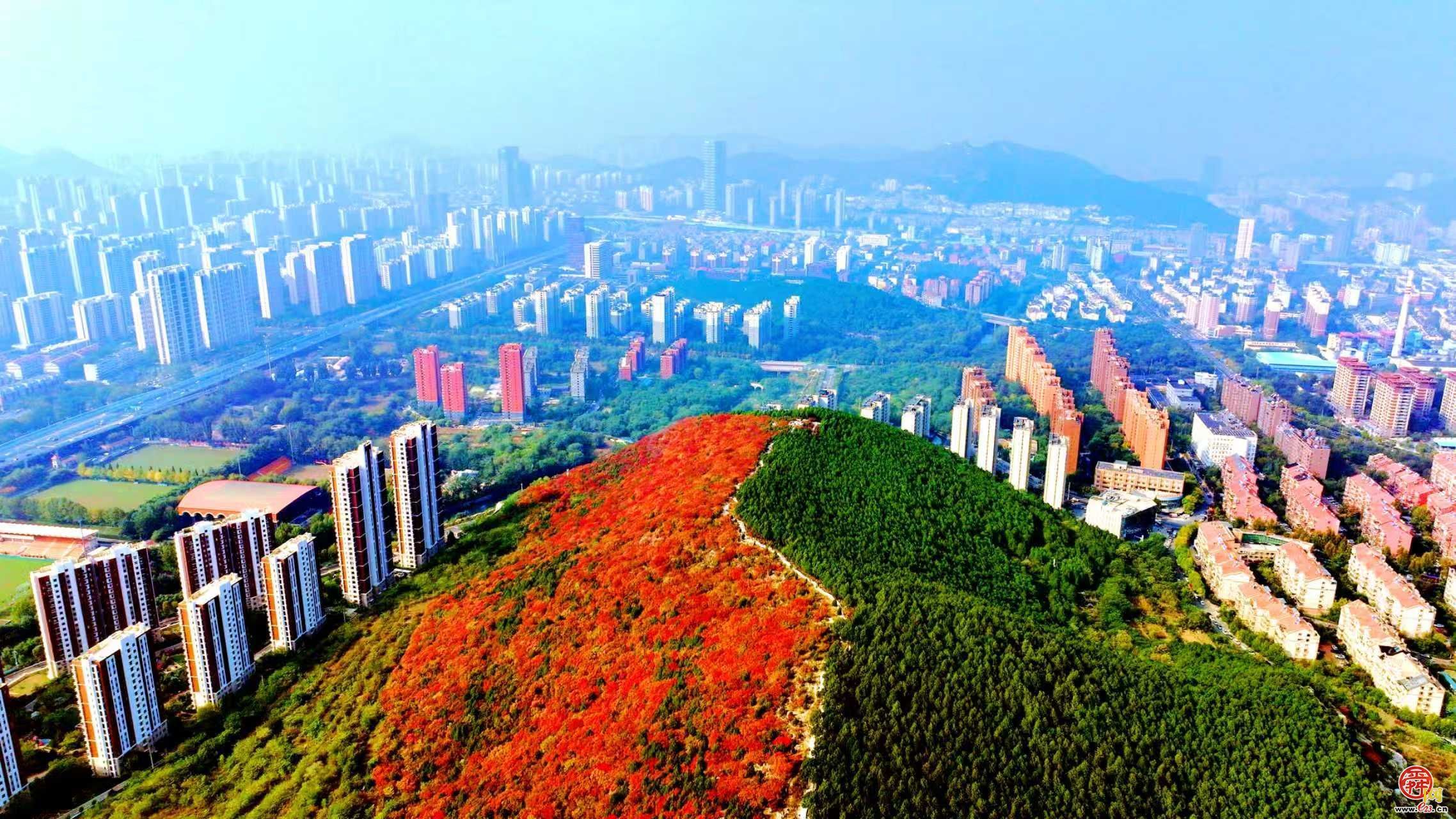 履行植树义务 共建美丽泉城 | 济南以“全民尽责”擦亮生态底色