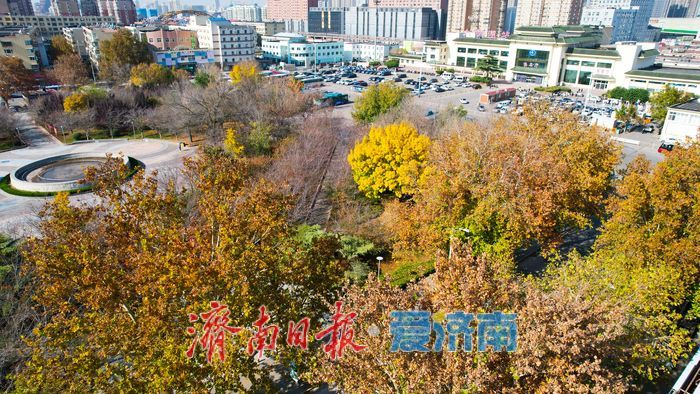 济南滨湖广场层林尽染披盛装