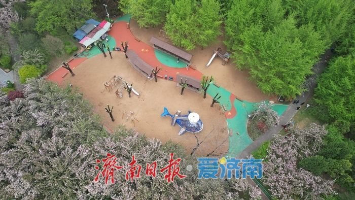 一年四季 泉在济南丨春雨润泉城 济南森林公园满目翠绿“颜值高”