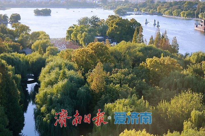 一年四季 泉在济南丨明湖藏翠色 晚秋入画卷