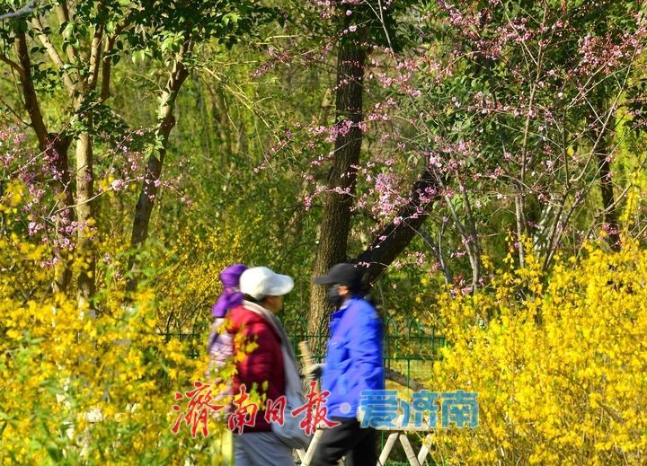 明湖春日小景多姿多彩，你动心了吗？