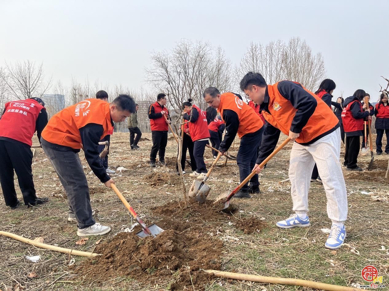 济南能源青年：播种生态幼苗 扛起能源“植”责