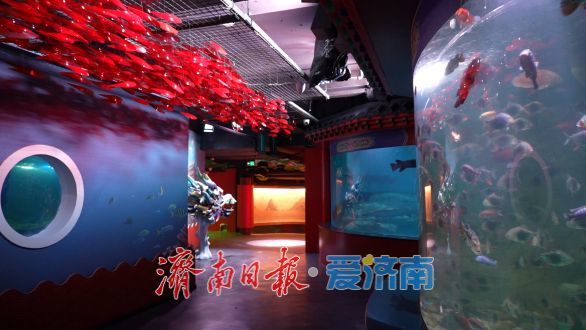 大明湖“明湖龙宫”焕新亮相，解锁雨荷IP沉浸式新体验