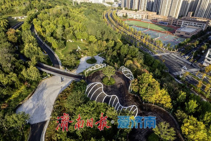 秋色斑斓，活力盎然