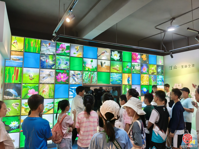 【党建融?学生成长共同体】荷风送香寻访路 章丘白云湖湿地里的“自然课堂”活力绽放?