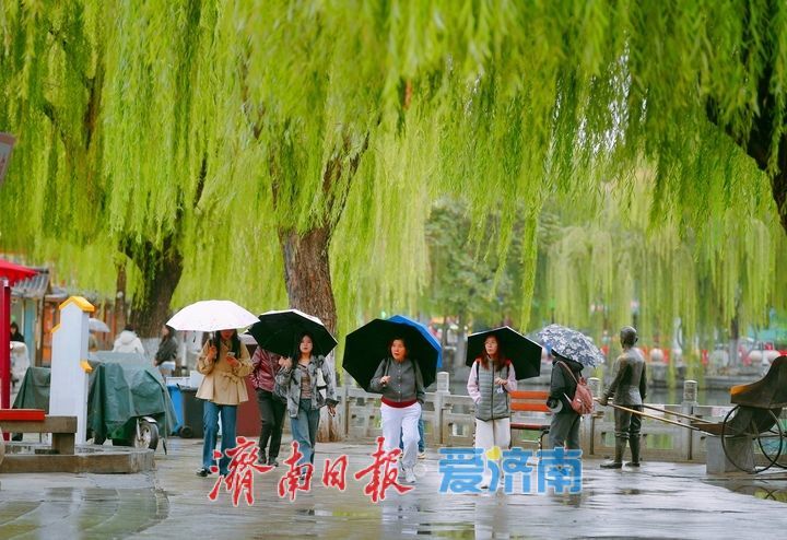 一年四季 泉在济南丨秋雨霏霏润泉城，漫游古巷听雨声