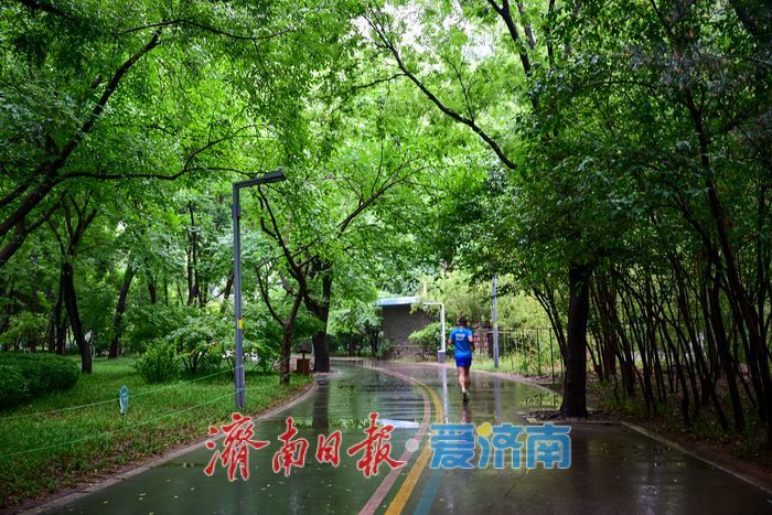 一年四季 泉在济南丨雨后济南森林公园美如画：雏菊带露，市民乐享清新