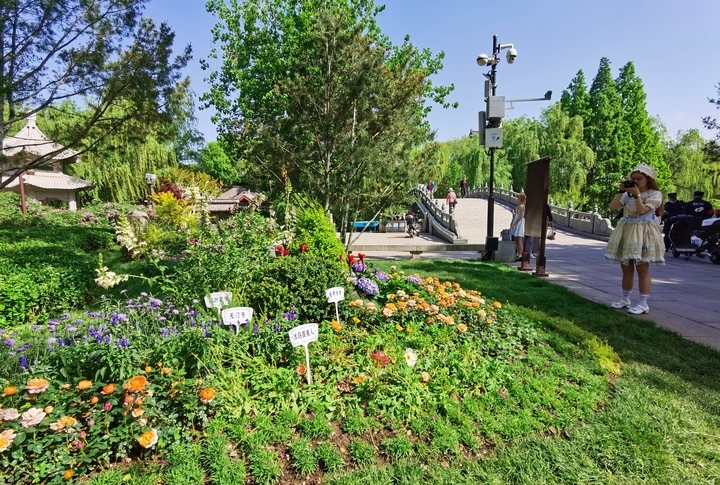 “泉”在济南过五一｜大明湖南岸改造显成效 人在画中游