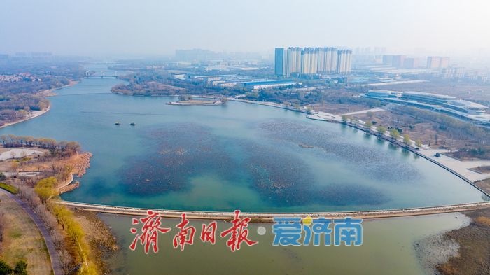 春光作序万物生 绣源河畔踏青正当时