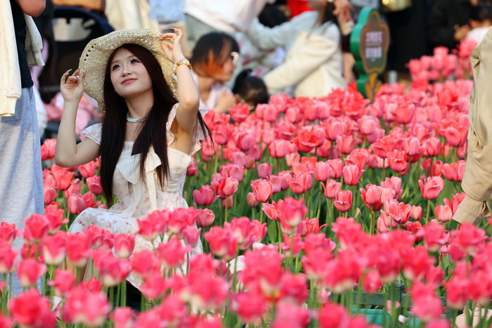 “郁”见美好！济南这里郁金香缤纷盛开，温馨浪漫