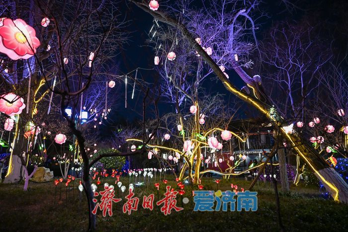 一年四季 泉在济南丨五龙潭花灯点亮泉城夜 市民游客争相打卡寻年味