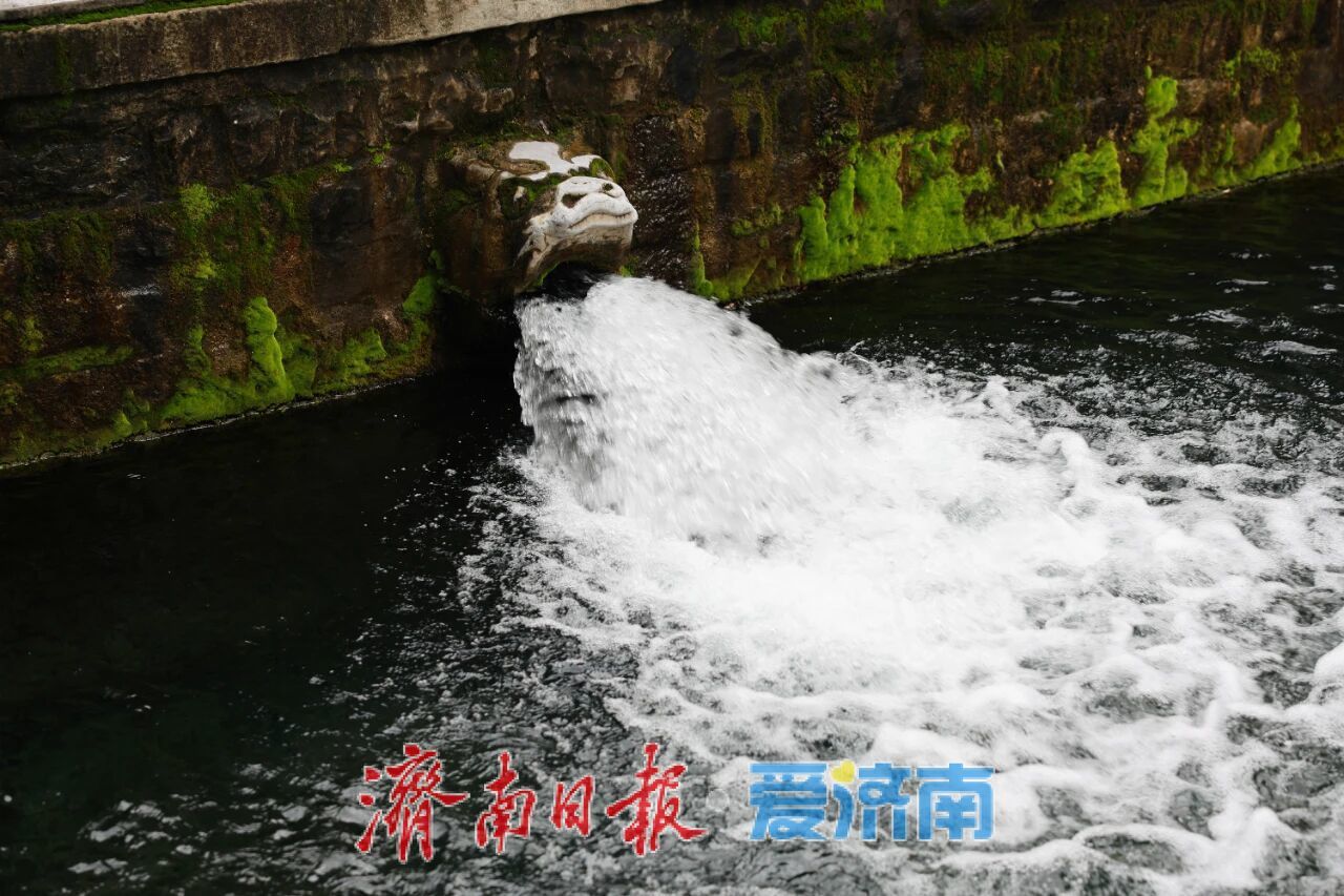 一年四季 泉在济南丨邂逅限定版秋色！这个国庆，在护城河畔解锁历下美景