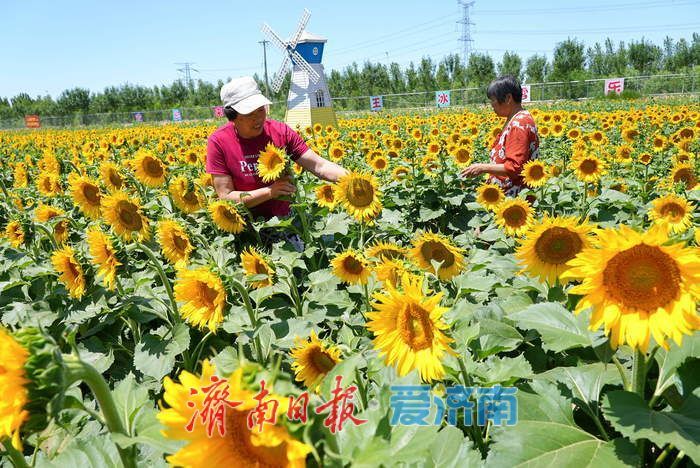 从贫困村蝶变为全国文明村 曲堤街道新农人带领乡亲吃上“旅游饭”