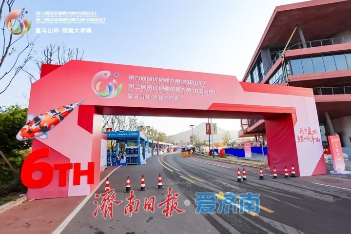 第六届名优锦鲤大赛在济启幕