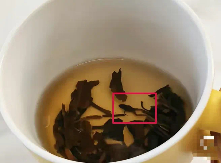 奈雪的茶被指喝出青蛙，公司回应：已和消费者协商处理完毕