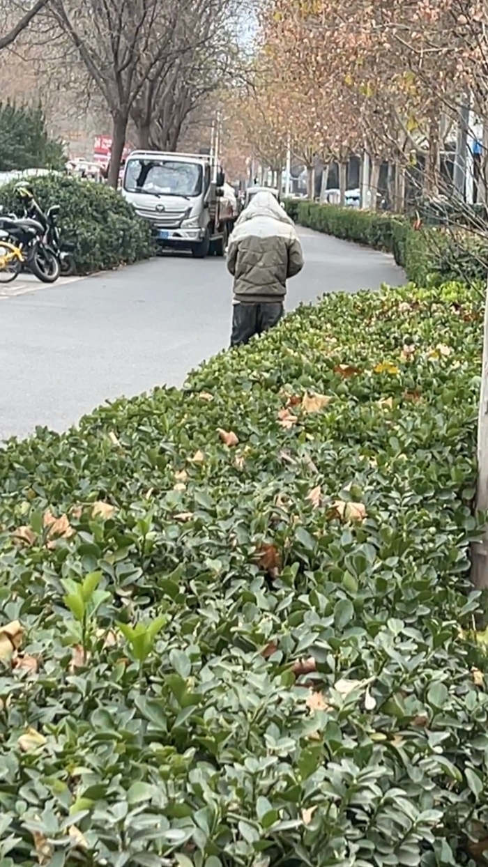 寒风中济南市民挥手15分钟为倒地男子挡车流 引导车辆避让