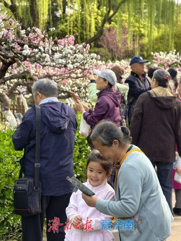 一年四季 泉在济南丨百花公园碧桃盛开