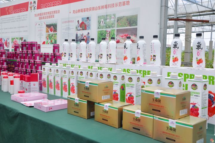 龙山小树莓  全国大市场