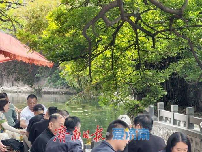 暮春泉城多惬意，绿荫清风似初夏