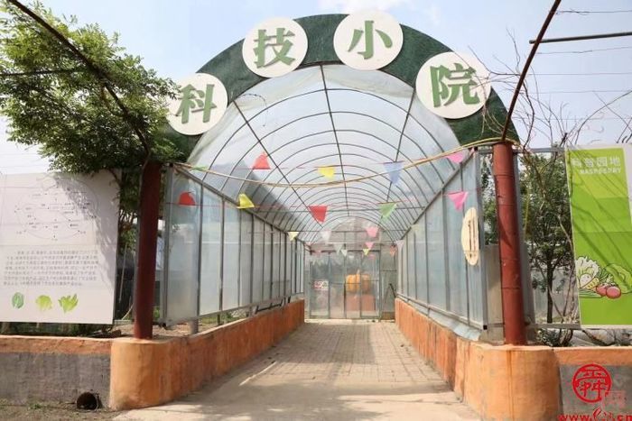 圣井街道：一个“实”字走在春天里   圣井农委