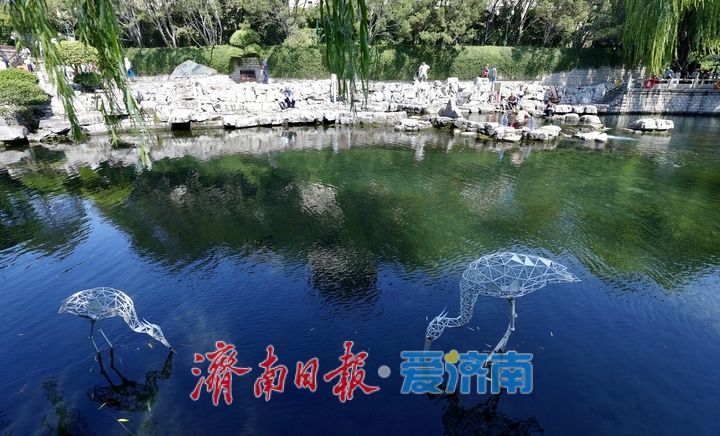一年四季 泉在济南丨黑虎泉畔秋意浓，游客打卡络绎不绝